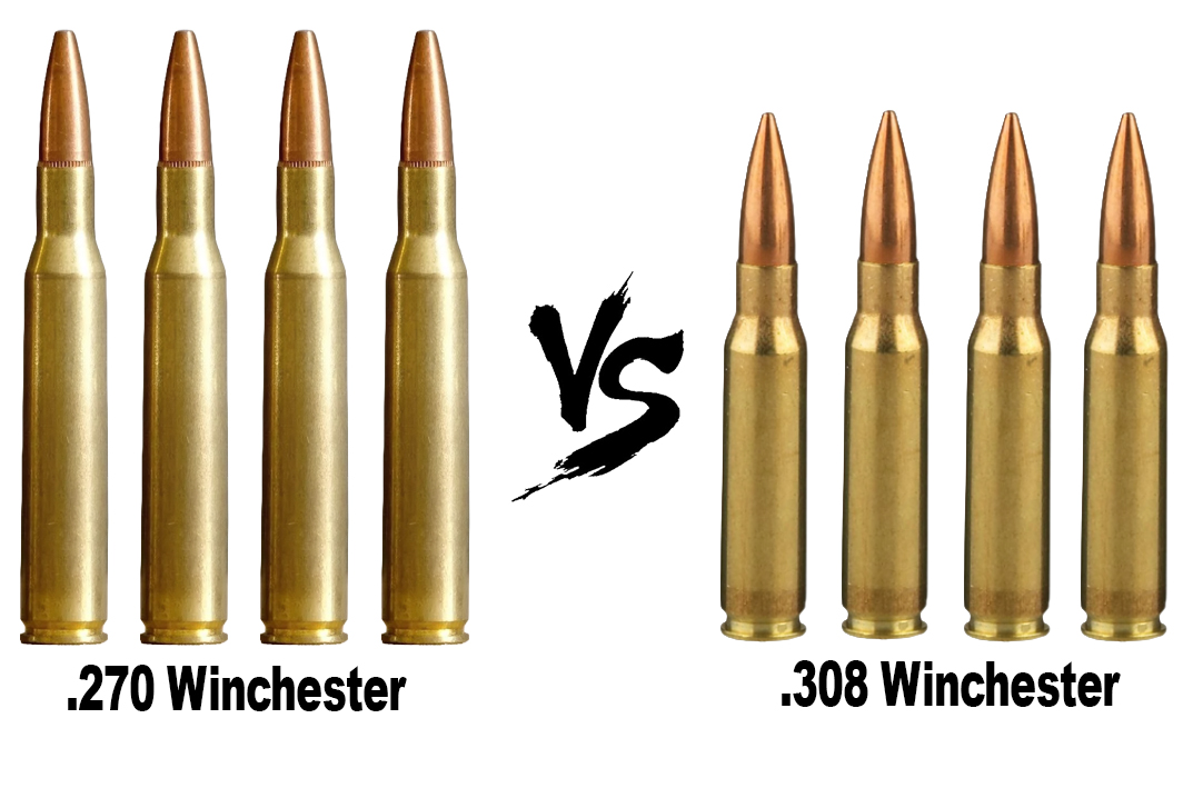 308 Winchester vs 270 winchester