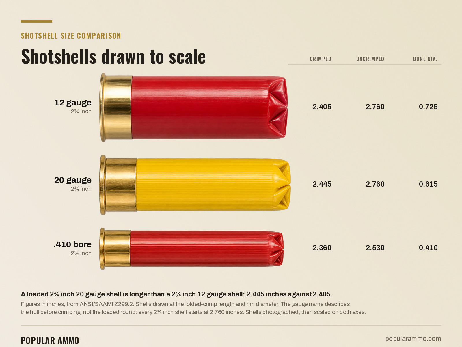 A 12 gauge, a 20 gauge and a .410 bore shotshell photographed and drawn on one scale, with crimped lengths of 2.405, 2.445 and 2.360 inches and bore diameters of 0.725, 0.615 and 0.410 inch.