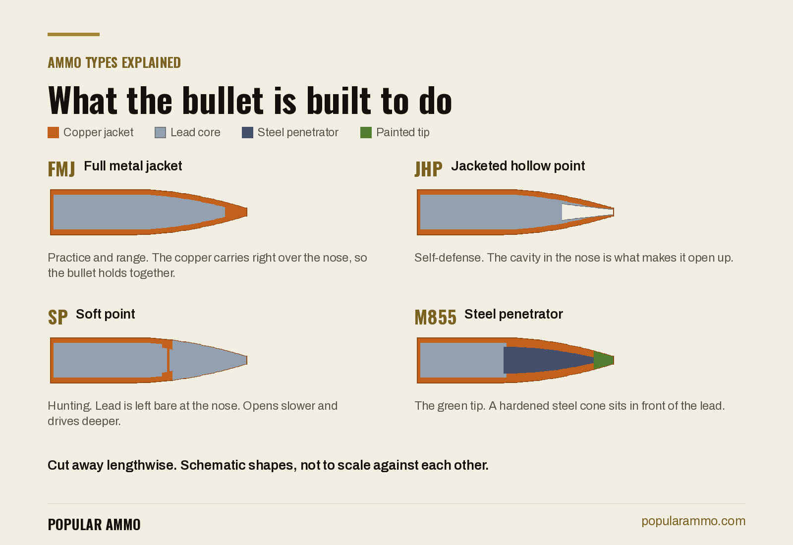 Lengthwise cutaways of four bullets showing the copper jacket, lead core, hollow point cavity and the steel penetrator behind an M855 green tip.
