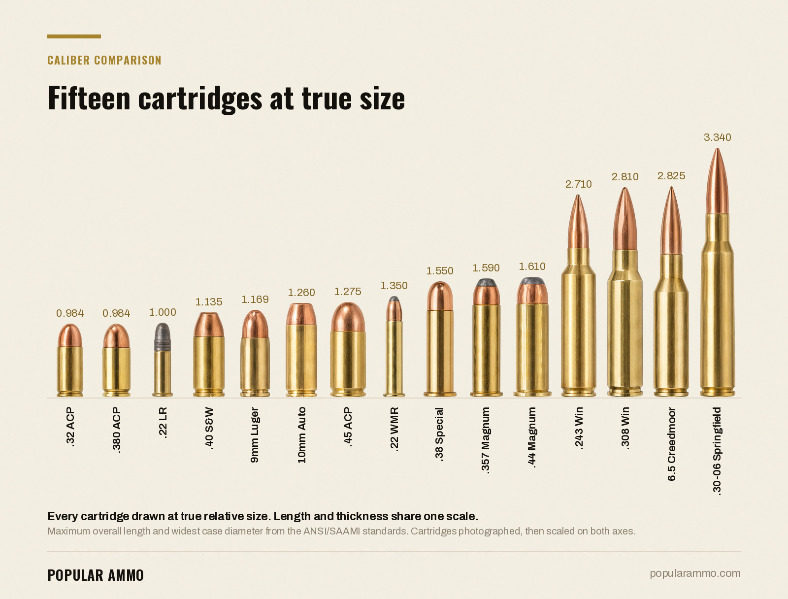 Fifteen cartridges at true size - Popular Ammo Fifteen cartridges from .32 ACP to .30-06 Springfield standing upright on one scale, photographed and drawn at true relative length and thickness, 0.984 to 3.340 inches.