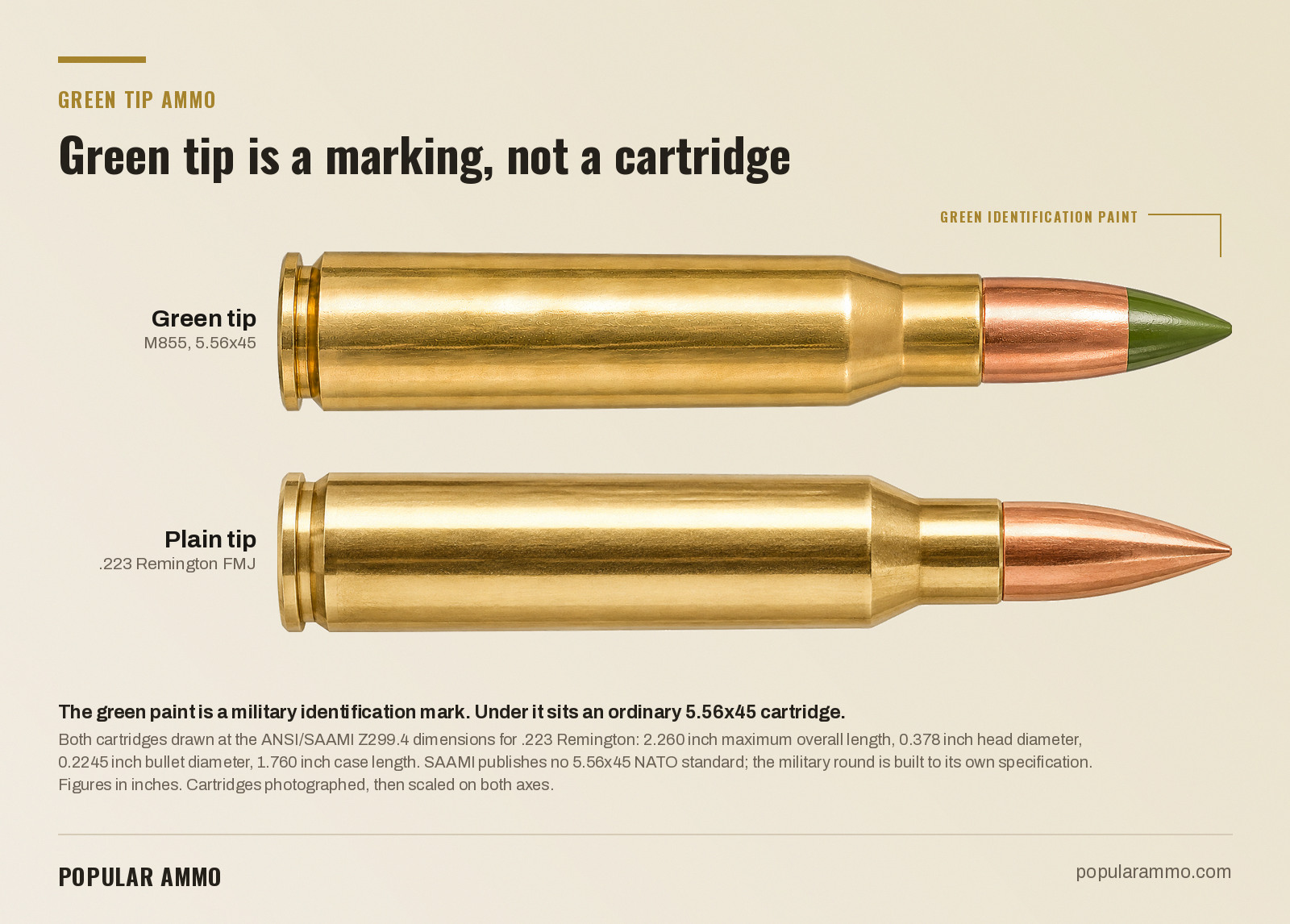 Green tip M855 compared with a plain tip .223 Remington FMJ, drawn to scale - Popular Ammo A green tip M855 5.56x45 cartridge above a plain tip .223 Remington full metal jacket round, photographed and drawn on one scale at 2.260 inch overall length and 0.378 inch head diameter, with the green identification paint on the M855 bullet labeled.