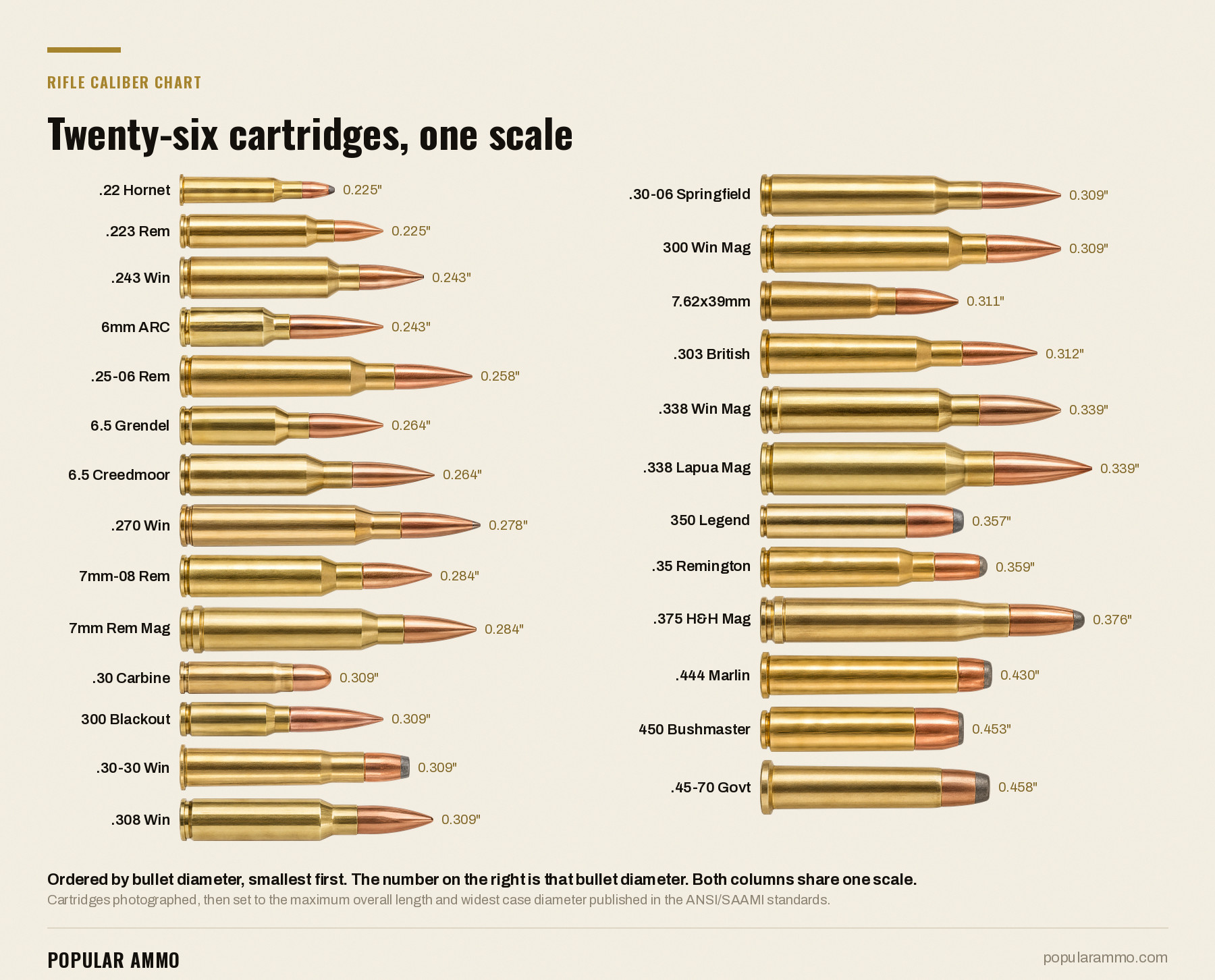 Rifle caliber chart: twenty-six cartridges on one scale - Popular Ammo Rifle caliber chart: twenty-six rifle cartridges photographed and drawn on one scale, ordered by bullet diameter from .22 Hornet at 0.225 inch to .45-70 Government at 0.458 inch, with length and case thickness both to scale.