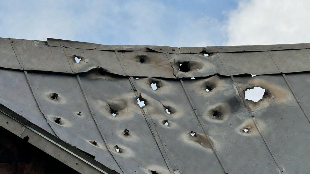 Tin roof with bullet holes - Popular Ammo Tin roof with bullet holes
