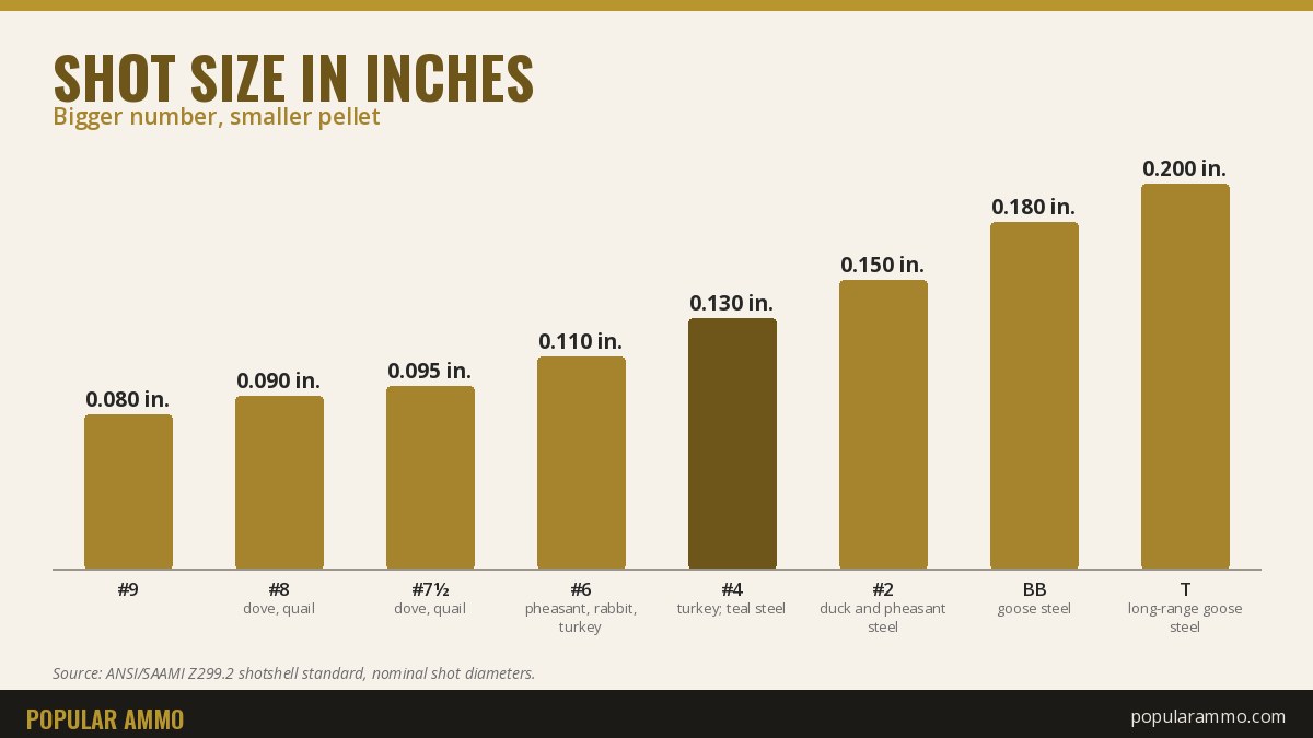 Bar chart of shot sizes in inches from #9 at 0.080 to T at 0.200, showing larger numbers mean smaller pellets